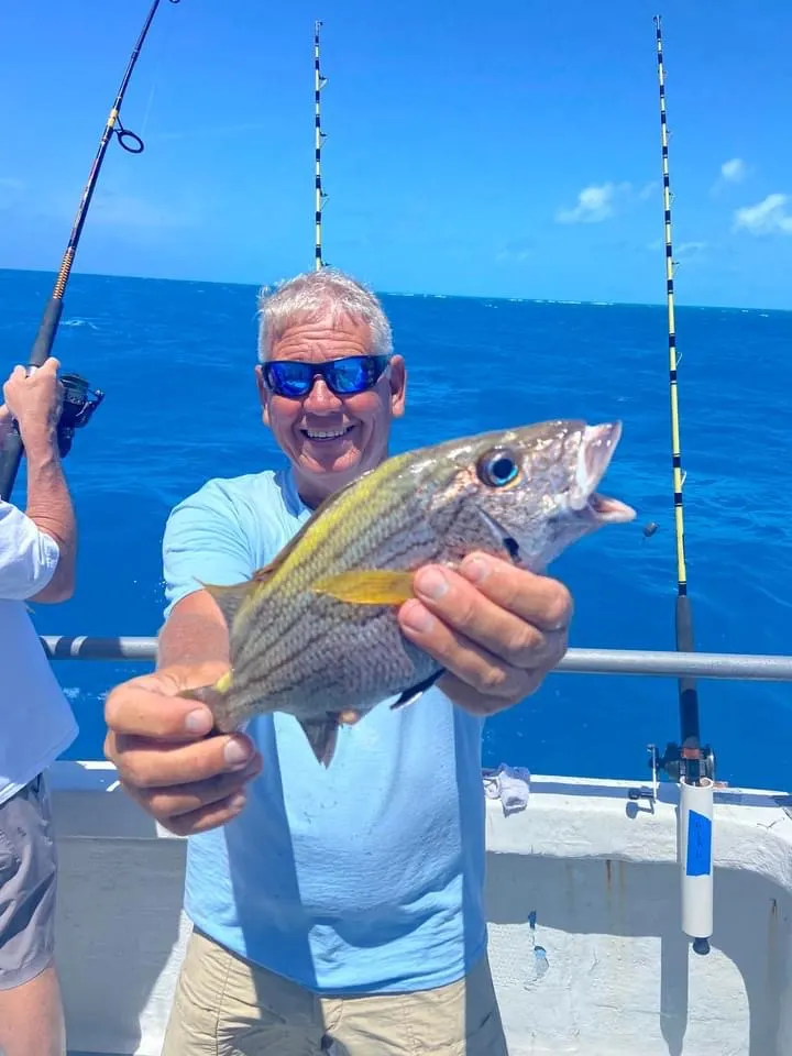 PETA Attempts to Stop Fishing in Key West - Key West fishing tips and news from Gulfstream
